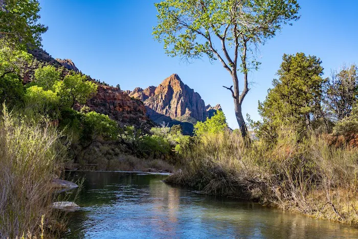 Zion NP South Campground 1