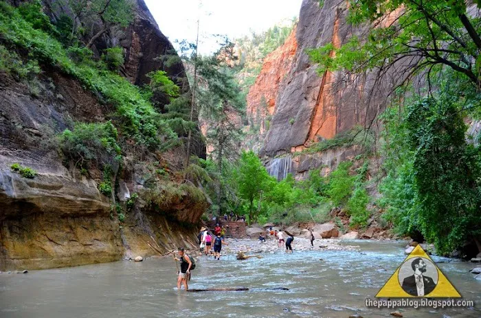 Zion National Park 3