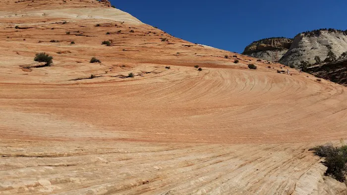 Zion National Park 5