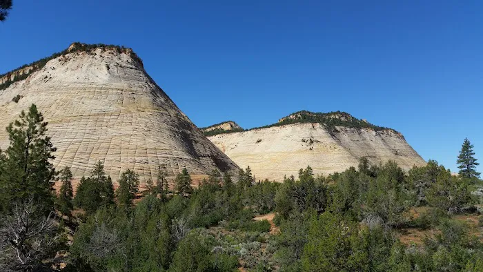 Zion National Park 8