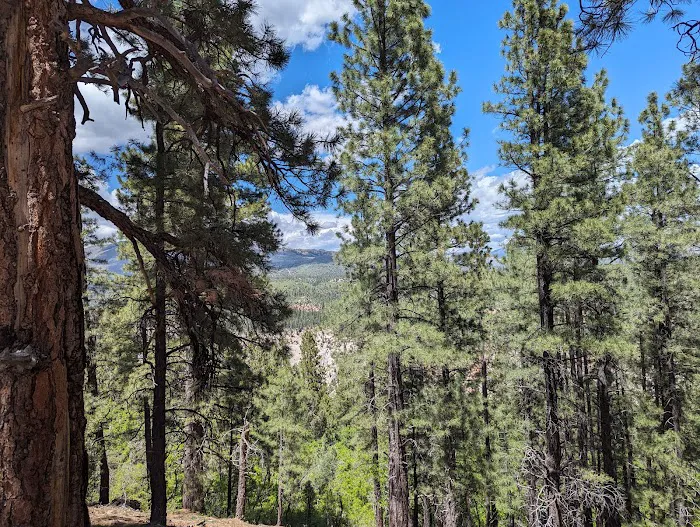 Kolob Deer Haven Recreation Camp 6
