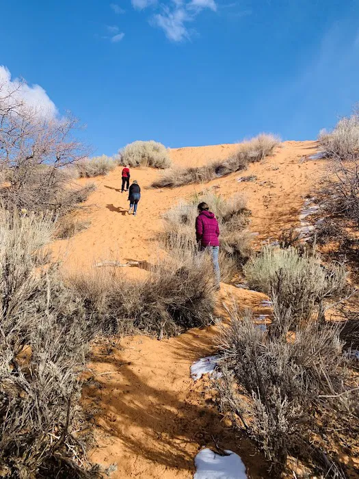 Coral Pink Sand Dunes South Campground 2