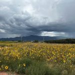 Little Village Retreat