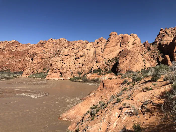 Land Beyond Zion 7