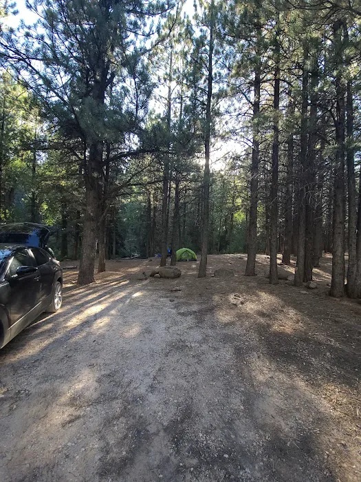 Mammoth Designated Dispersed Camping Area 4
