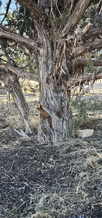 Stateline Campground 1