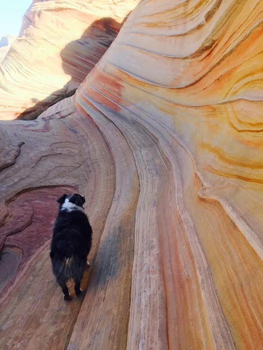 Paria Canyon Campsite 0