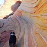 Paria Canyon Campsite