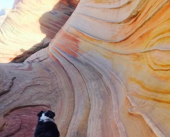 Paria Canyon Campsite