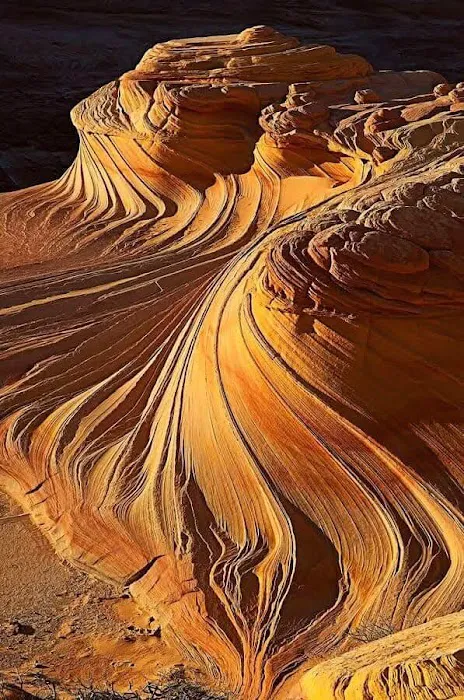 Paria Canyon Campsite 1