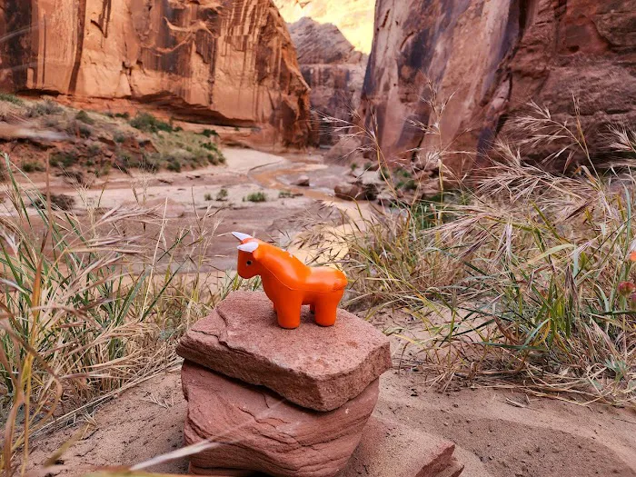 Paria Canyon Campsite 2