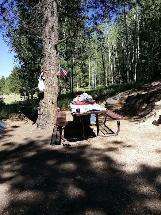 Panguitch Lake South Campground 6