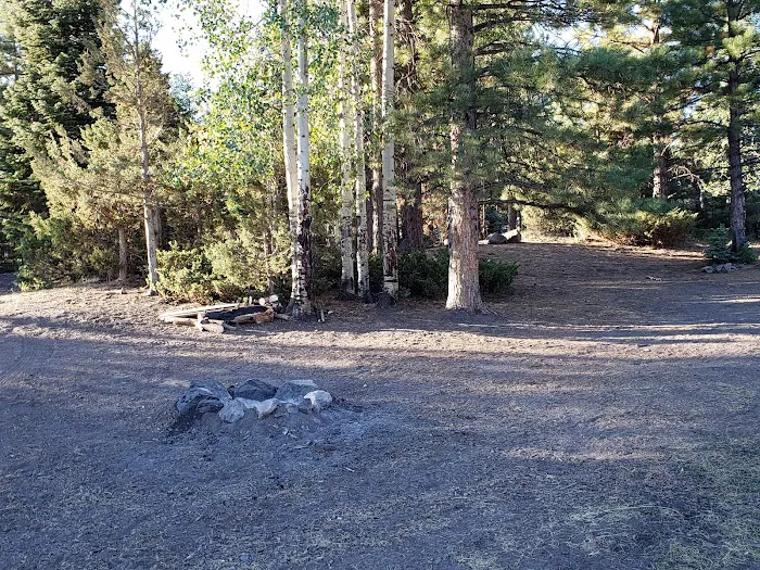 Yankee Designated Dispersed Camping Area 2