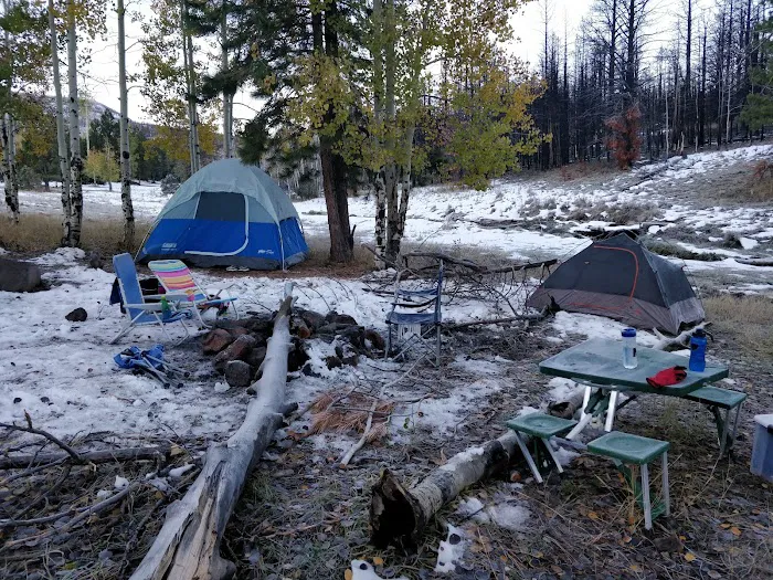 Yankee Designated Dispersed Camping Area 7