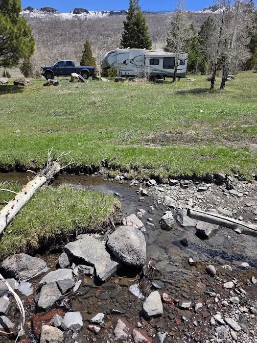 Yankee Designated Dispersed Camping Area 5