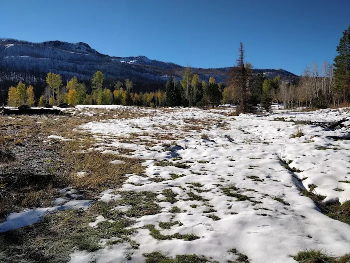 Yankee Designated Dispersed Camping Area 9