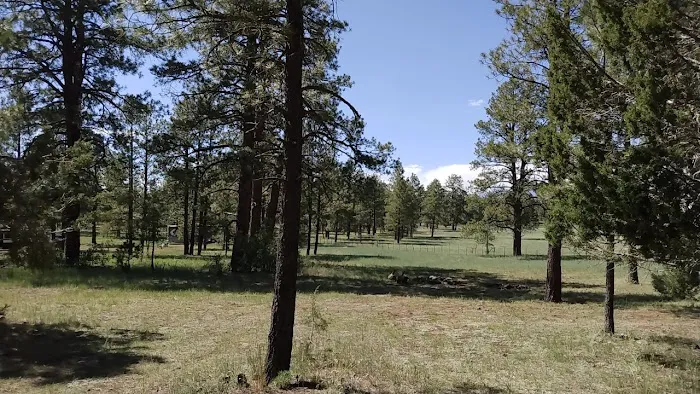 Yankee Designated Dispersed Camping Area 0