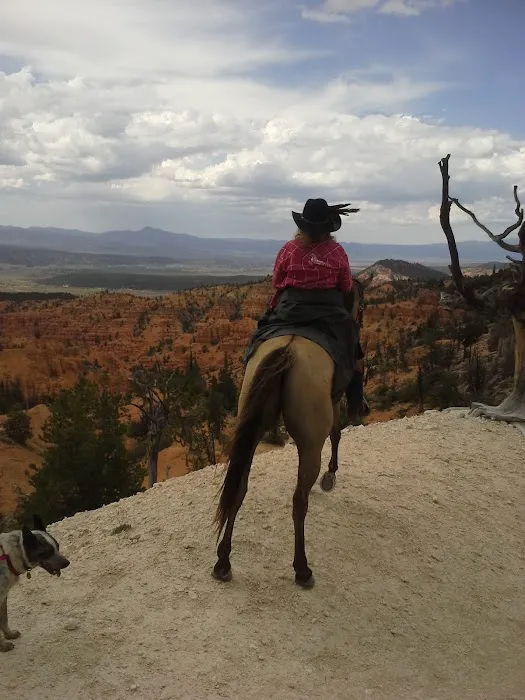 Coyote Hollow Equestrian Campground 2