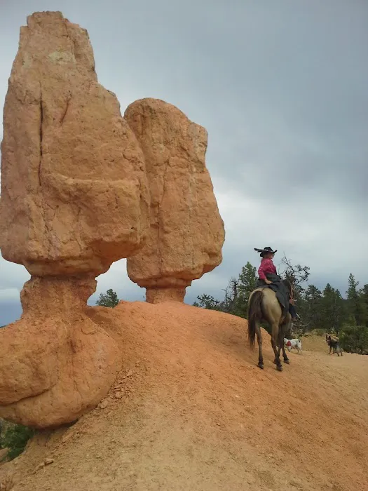 Coyote Hollow Equestrian Campground 1