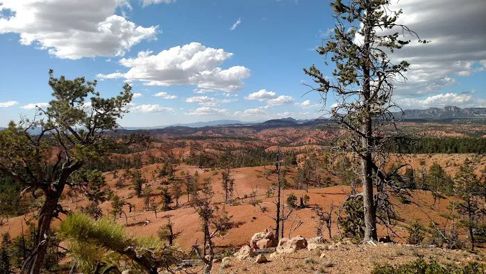 Coyote Hollow Equestrian Campground 4
