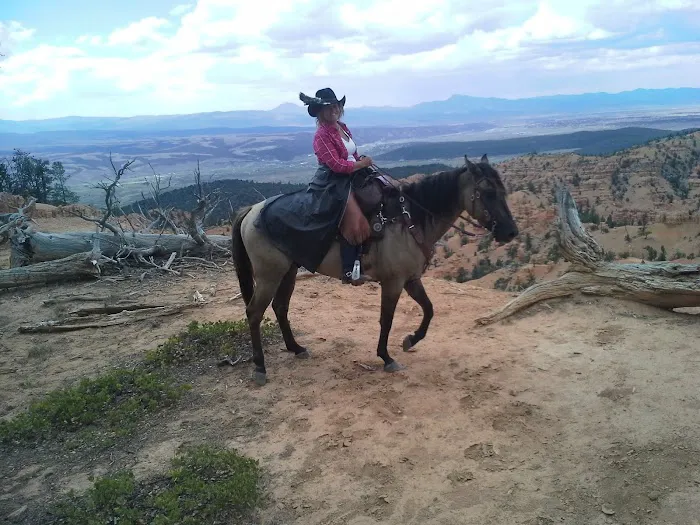 Coyote Hollow Equestrian Campground 3