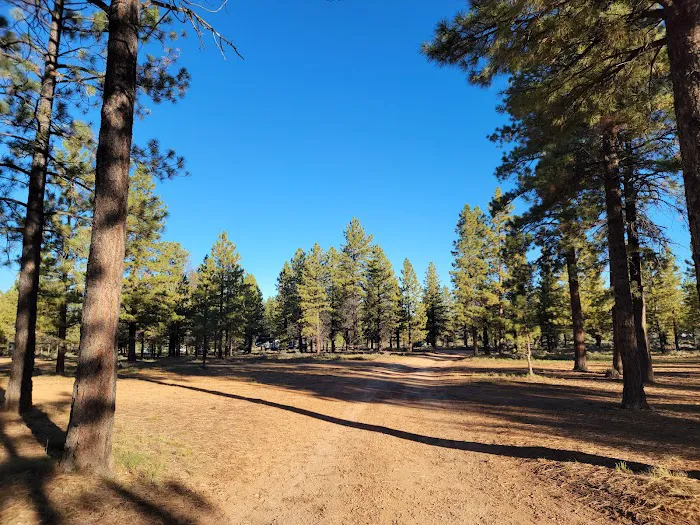 Dixie National Forest Dispersed Camping Area 1