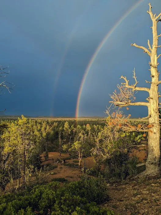 Dixie National Forest Dispersed Camping Area 0