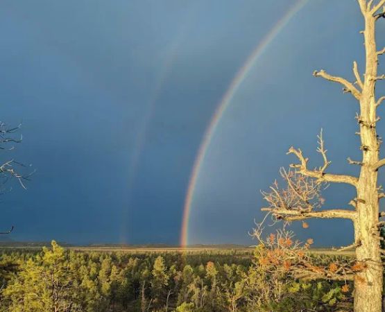 Dixie National Forest Dispersed Camping Area