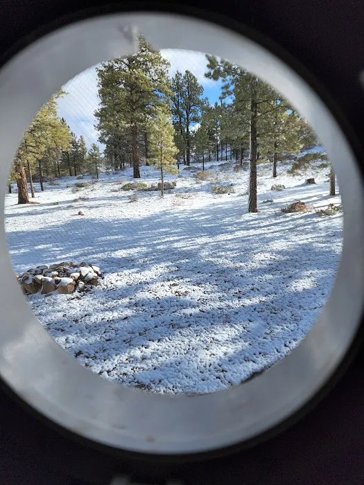 Dixie National Forest Dispersed Camping Area 7
