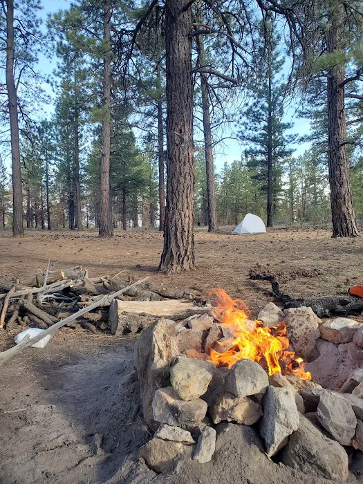 Dixie National Forest Dispersed Camping Area 8