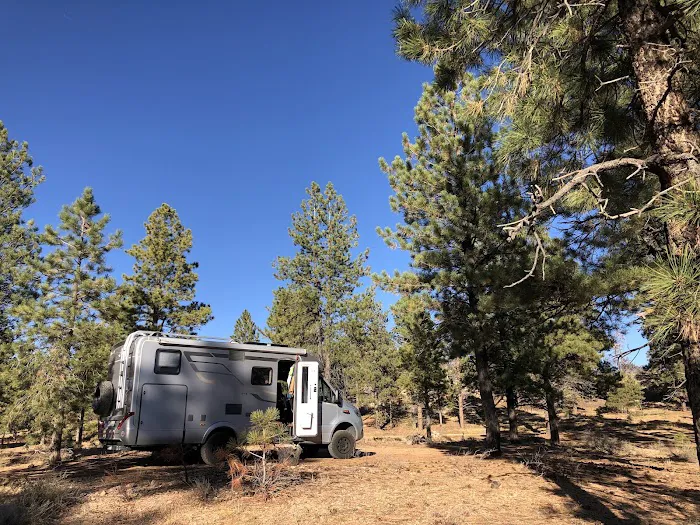 Dixie National Forest Dispersed Camping Area 4