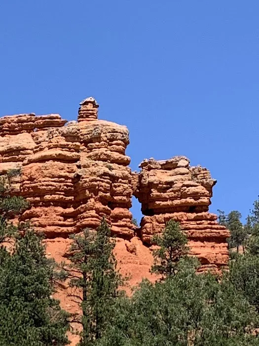 Dixie National Forest Dispersed Camping Area 2