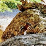 Tushar Lakeside Rec Site