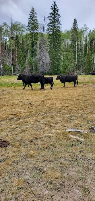Kents Lake Campground 4
