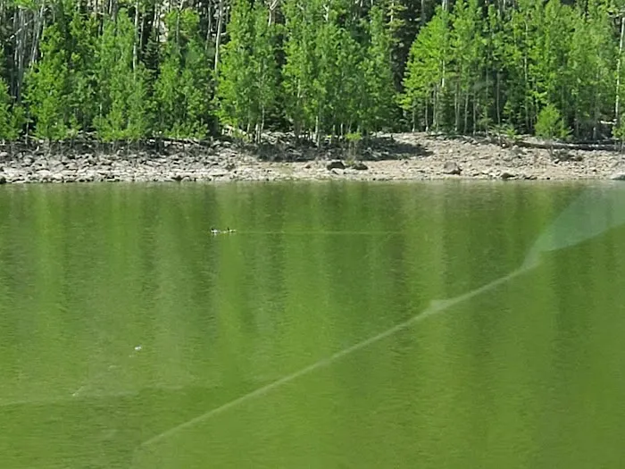 Kents Lake Campground 8