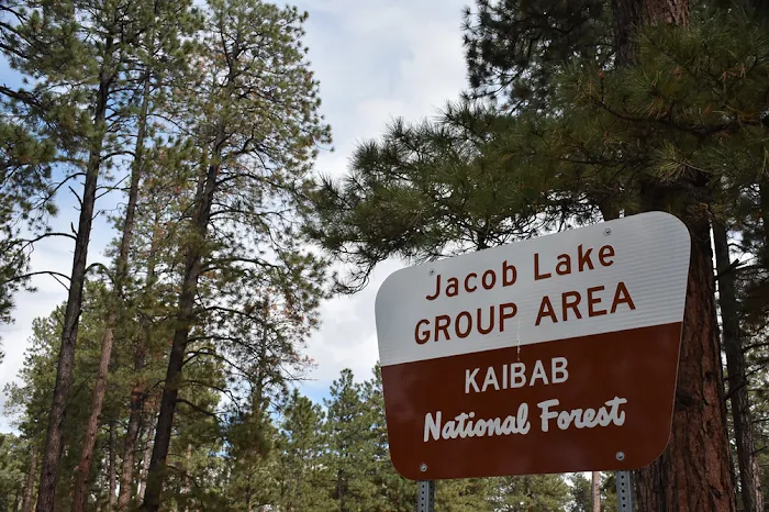 Jacob Lake Group Campground & Picnic Site 8