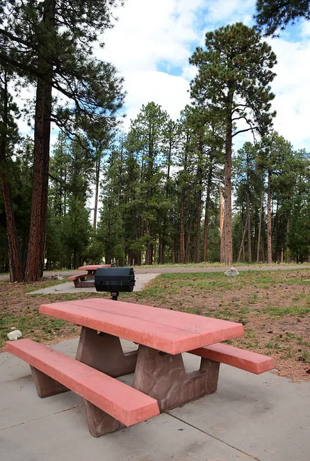 Jacob Lake Group Campground & Picnic Site 6