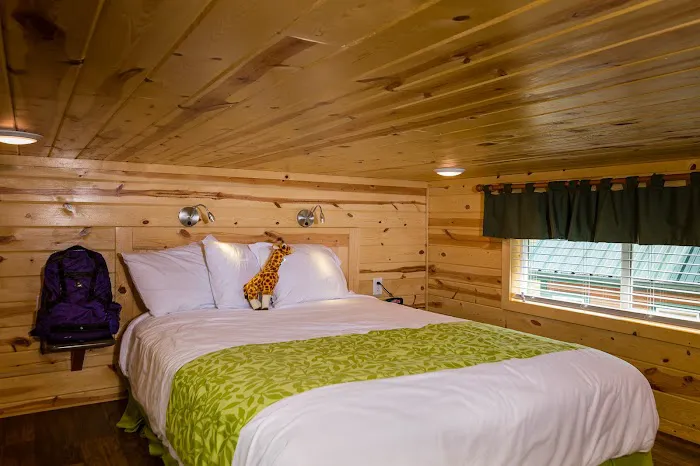 Flagstaff KOA Holiday 2