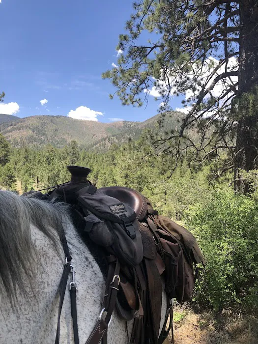 Little Elden Springs Horse Campground 7