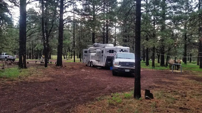 Little Elden Springs Horse Campground 5