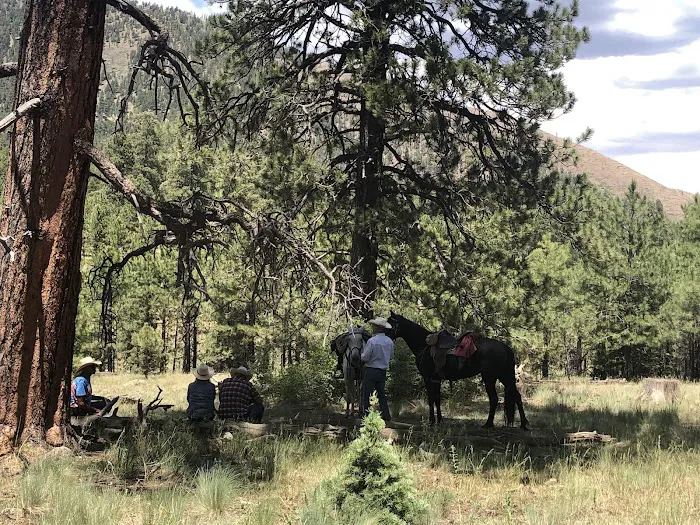 Little Elden Springs Horse Campground 9