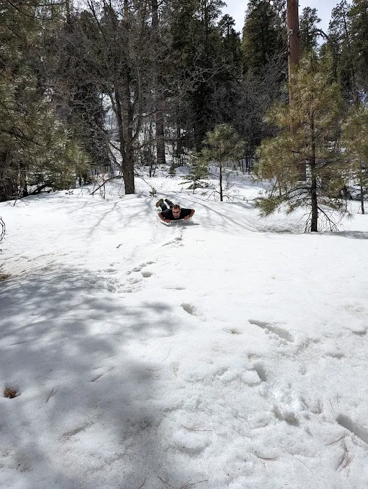 Little Elden Springs Horse Campground 4