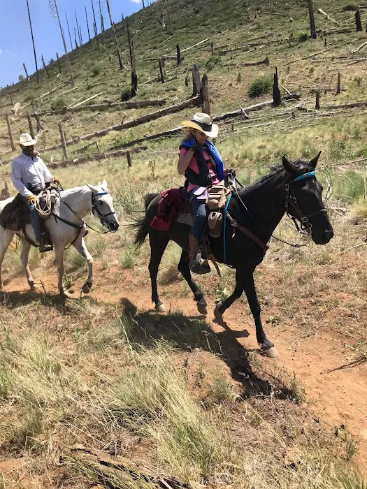Little Elden Springs Horse Campground 6
