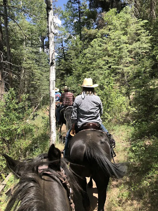 Little Elden Springs Horse Campground 0