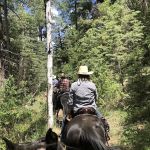 Little Elden Springs Horse Campground