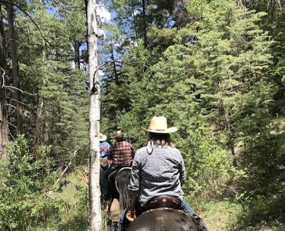 Little Elden Springs Horse Campground