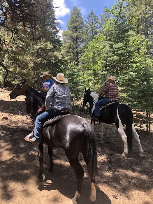 Little Elden Springs Horse Campground 2