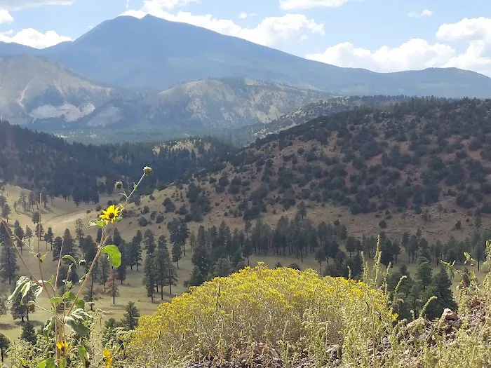 Lockett Meadow Campground 3