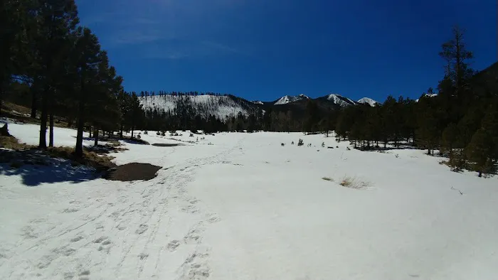 Lockett Meadow Campground 4