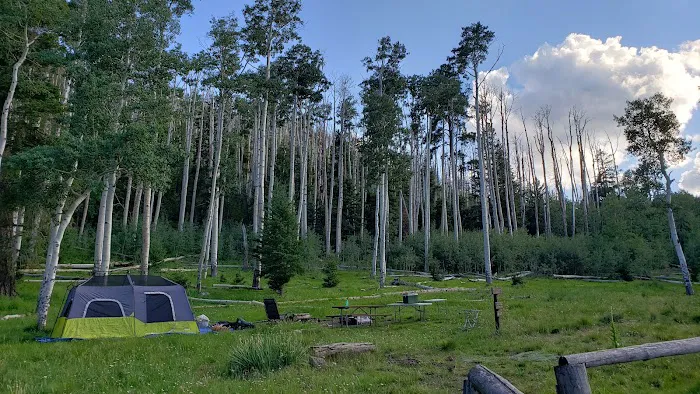 Lockett Meadow Campground 5